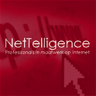 NetTelligence - custom internet development